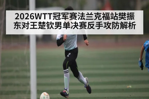 2026WTT冠军赛法兰克福站樊振东对王楚钦男单决赛反手攻防解析