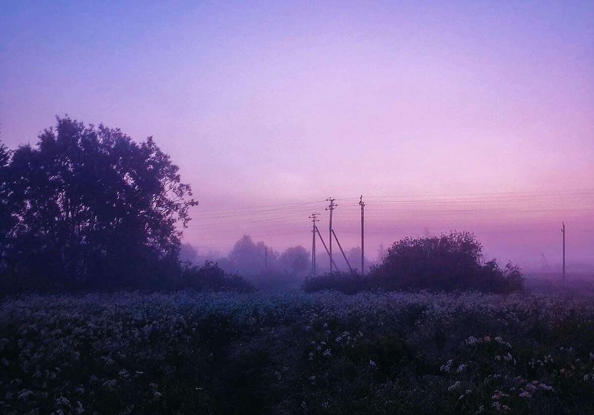 1xBET网站-无言蒙恬依旧死战不退,紫幻小乔关键控制狼队打出零换二